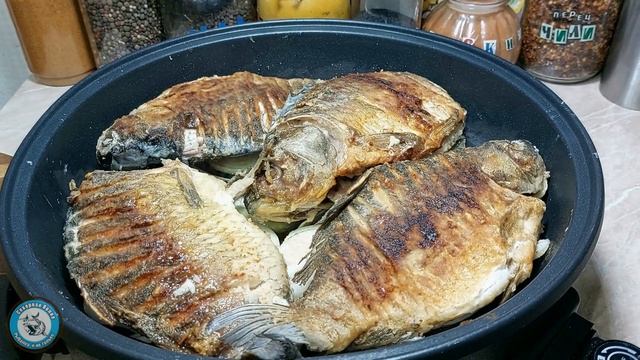 Астрономия и Космос