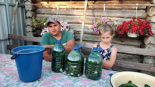 Солим огурчики в колодце! Лучший рецепт. смотреть онлайн