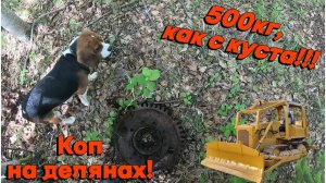 500кг, как с куста! Коп металла в лесу.Богатая лесовозная деляна. XP ORX