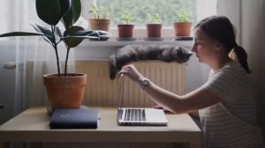 Как стать тестировщиком. С чего начать. Тестировщик с нуля.