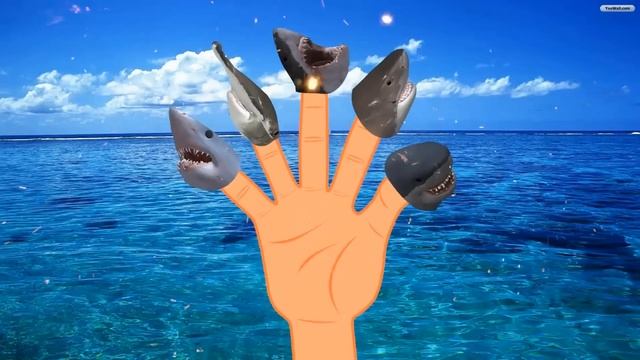 Sea Animal VS Shark Finger Family Nursery Rhyme | Whale Orca Killer Whale dolphin octopus Finger смотреть онлайн