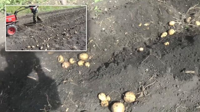 Мотоблок,весна,лето,осень и Я  2022г