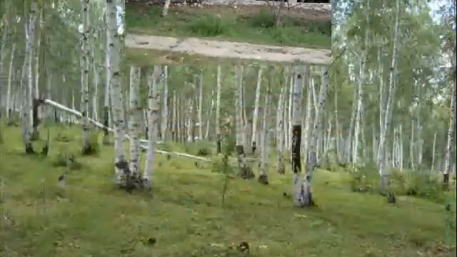 Горный Зерентуй, лучшее место на земле.wmv