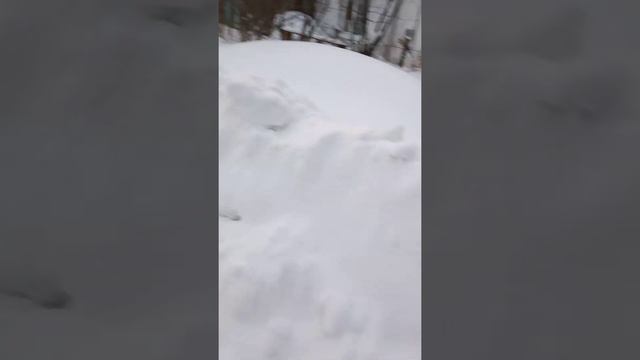 бег с припятствиями ,часть2 смотреть онлайн
