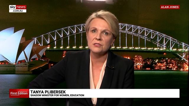 Plibersek rejects 'deeply offensive' suggestions she condoned Flint treatment смотреть онлайн