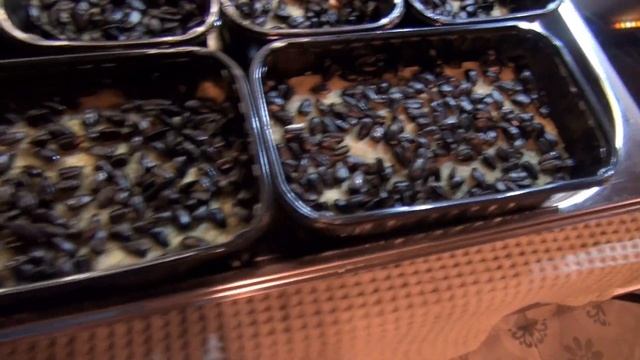 Выращивание семян подсолнечника. Эксперимент смотреть онлайн