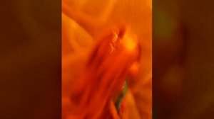 Надо уметь понять и простить)))