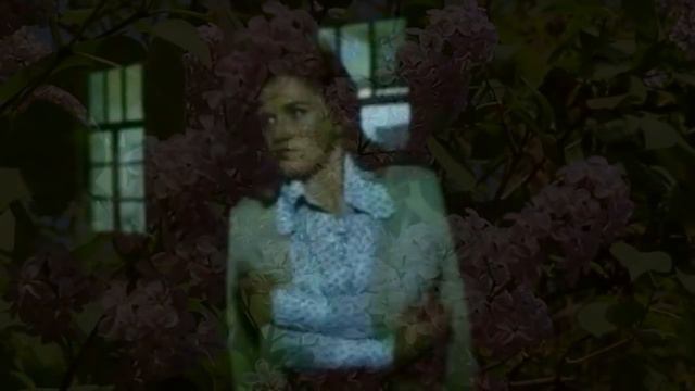 Валерий Залкин Одинокая ветка сирени смотреть онлайн