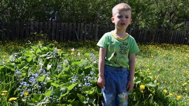 стихотворение "Травка зеленеет...." смотреть онлайн