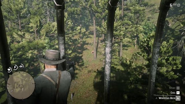 Red Dead Redemption 2 Side Mission - Robot Missing India Hindi Gameplay смотреть онлайн