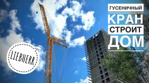 БОЛЬШОЙ ГУСЕНИЧНЫЙ КРАН СТРОИТ ДОМ!