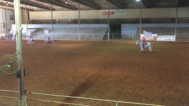 Sass n’ Saddles Nationals 2018 theme смотреть онлайн