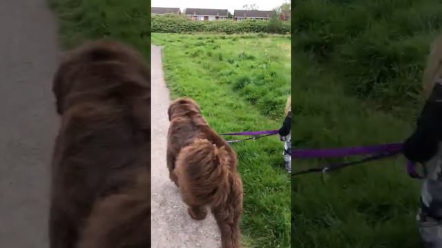 75D3C2ED 394D 4892 AC4D 39BC77DB3AB0 смотреть онлайн