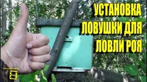 УСТАНОВКА ЛОВУШКИ ДЛЯ ЛОВЛИ РОЯ. ЛОВЛЯ РОЕВ ИЛИ ПЧЕЛЫ БЕСПЛАТНО ЧАСТЬ 2 #РОЙ #ЛОВУШКА #ПЧЕЛЫ