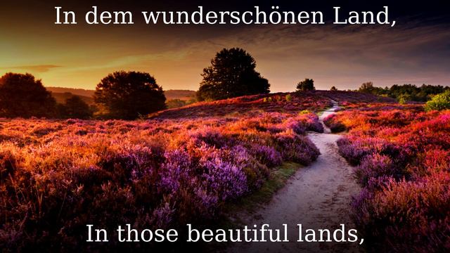 Auf Der Lüneburger Heide [German Soldier Song][+English Translation]