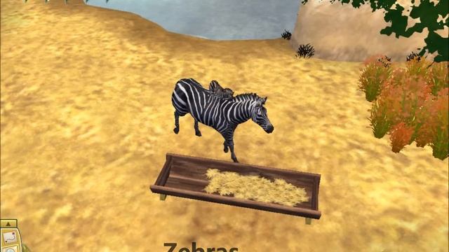 Biggest zoo tycoon 2 build ever смотреть онлайн