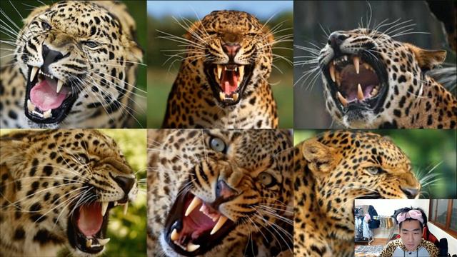 유리세계 Glass 레나 플레이(후방주의)