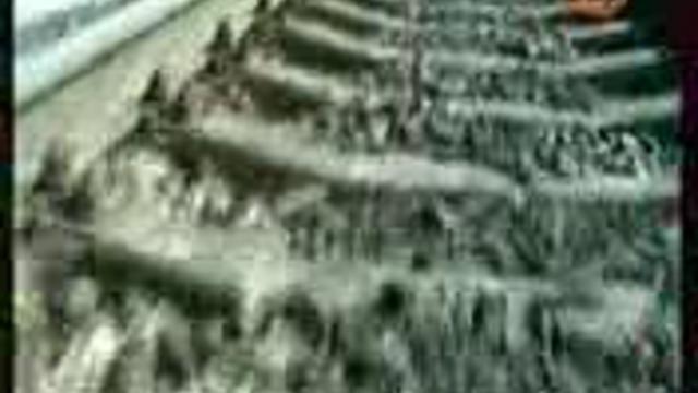 Без бумажки ты букашка, а с бумажкой????? смотреть онлайн