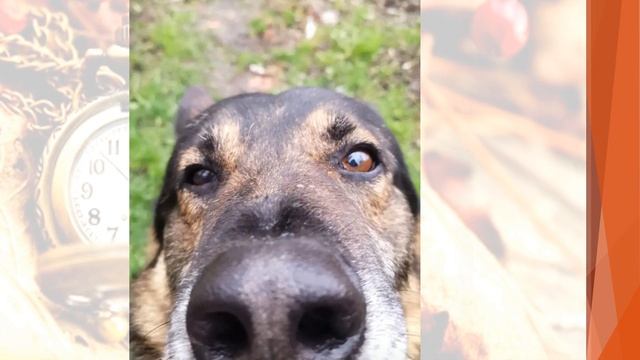 Выставка фотографий "Есть только миг..." смотреть онлайн