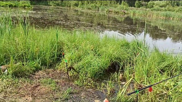 J.S. 29.07.2020. Москва на рыбалке. смотреть онлайн