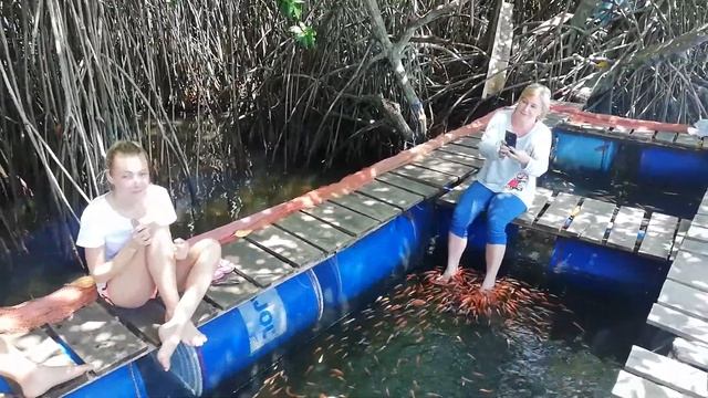 Шри Ланка экскурсии 2019 русский гид смотреть онлайн