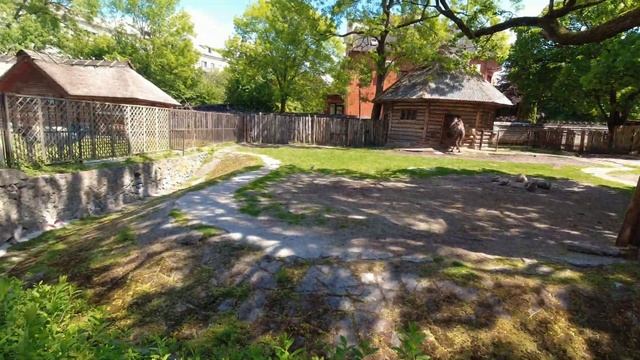 Калининград! Простой и интересный маршрут по городу и области на 5 дней. смотреть онлайн