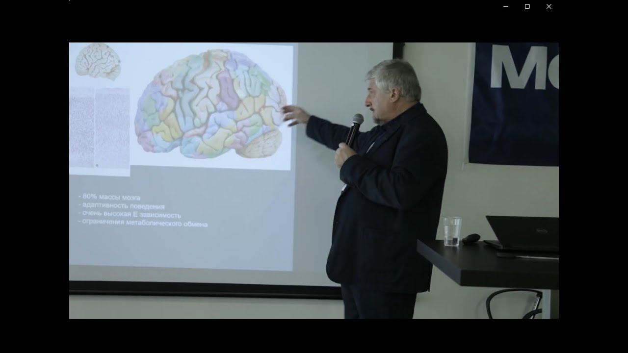 Савельев С.В. --- СОН Человека (поясняет просто кратко и ясно).