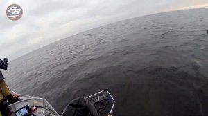 Как ловить щуку на колебалки.