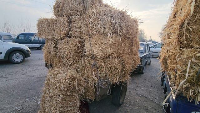 10 марта 2023 г. смотреть онлайн