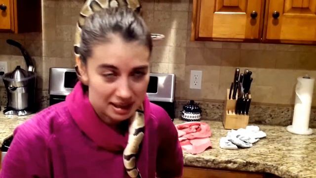 #29 Украшение для волос ЖИВАЯ ЗМЕЯ!!!! смотреть онлайн