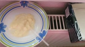 выкармливаем птенцов с первого дня жизни. чем подкармливать птенцов канарейки