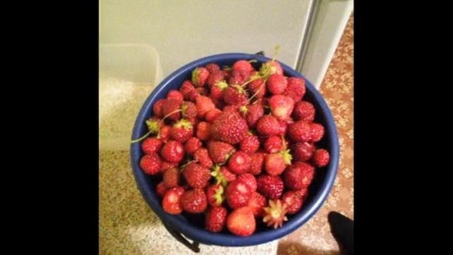 ведро спелой клубники смотреть онлайн