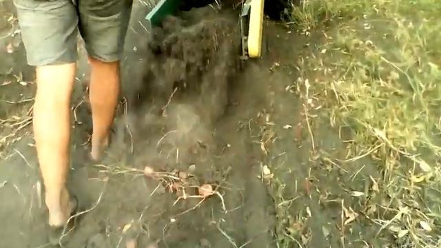 копаємо картоплю, мотоблок - Кінтавр смотреть онлайн