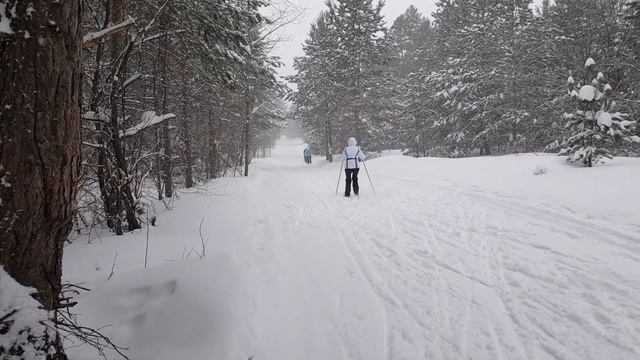 Поэма лыжника 😊 смотреть онлайн
