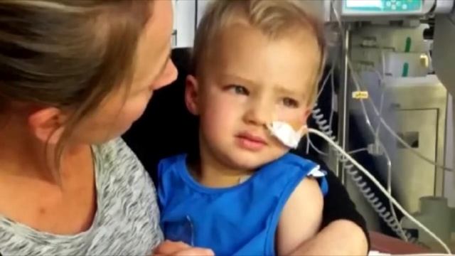 Собака тянет мужчину к озеру. То, что он увидел в воде, запомнится ему на всю жизнь! смотреть онлайн