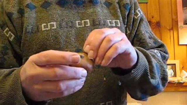 How to eat a medlar (мушмула германская) смотреть онлайн