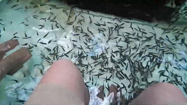 Массаж рыбками (Бангкок, февраль 2014) смотреть онлайн