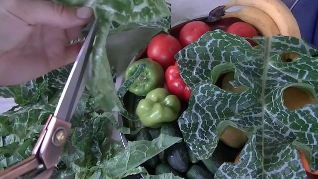Салат из расторопши пятнистой. смотреть онлайн