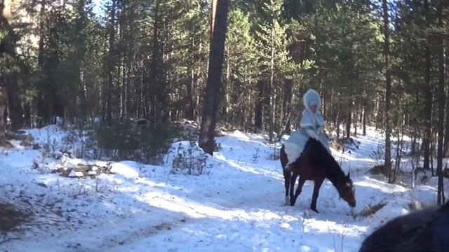 Едем на праздник смотреть онлайн