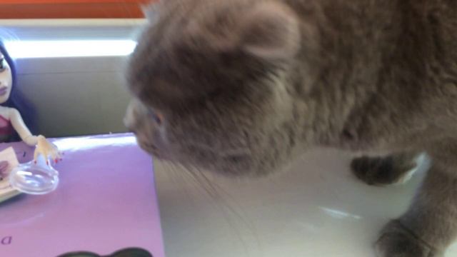 На роботе Локи📘🐱😘 смотреть онлайн