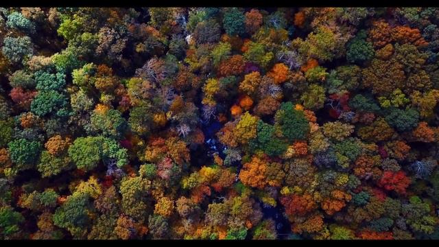 Positive Happy Music Mix || Позитивная мотивирующая музыка для поднятия настроения смотреть онлайн