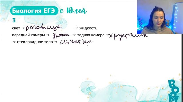 Алкалоид в глаз | Марафон по Анатомии человека | БИОЛОГИЯ ЕГЭ 2024 смотреть онлайн