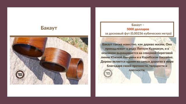 САМЫЕ ДОРОГИЕ ПОРОДЫ ДЕРЕВА В МИРЕ смотреть онлайн