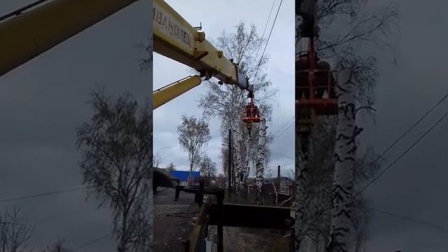 работаем на мазе с люлькой, пилим деревья. смотреть онлайн