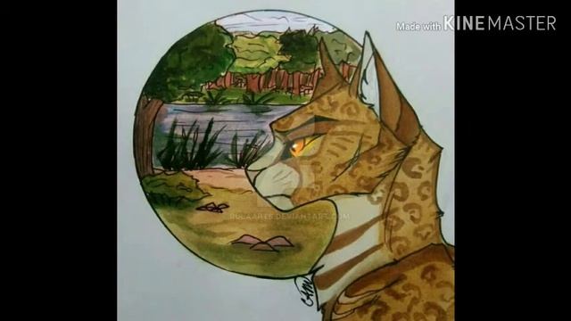 Кототеории ~Родители Пятнистой звезды ПРЕДАТЕЛИ?!~ 1 часть смотреть онлайн