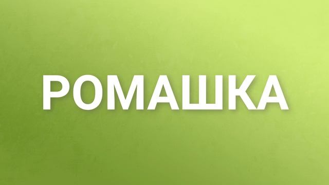 РОМАШКА. Логотип с помощью маски матте смотреть онлайн