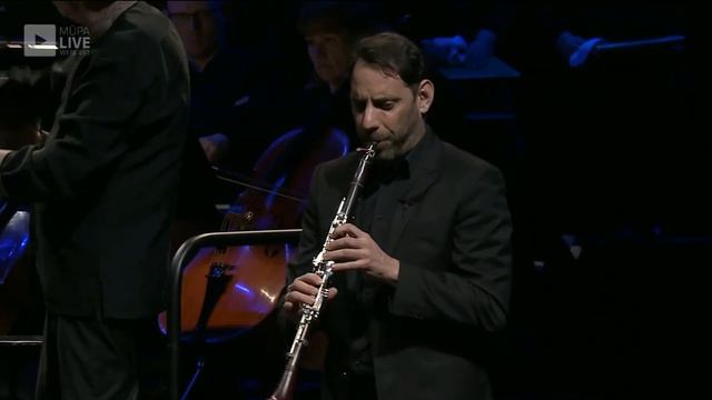 Bence Szepesi - Mozart Clarinet Concerto, 2nd Movement смотреть онлайн