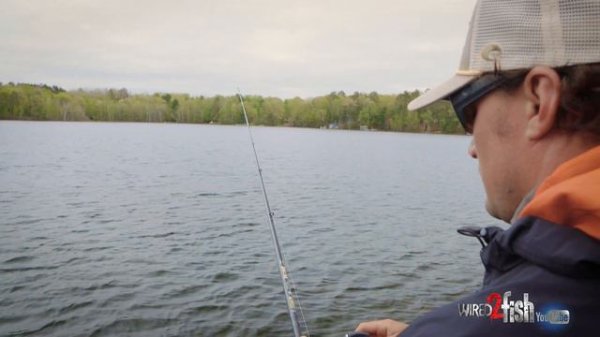 5 Alabama Rig Gear Tips for Increased Success