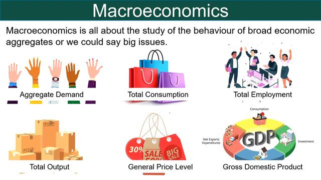 Difference Between Micro and Macro Economics (with Examples) смотреть онлайн