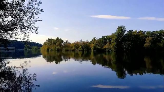 wild birds special collaction beautiful relaxing music nature and wildlife videos смотреть онлайн